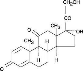 PREDNISONE